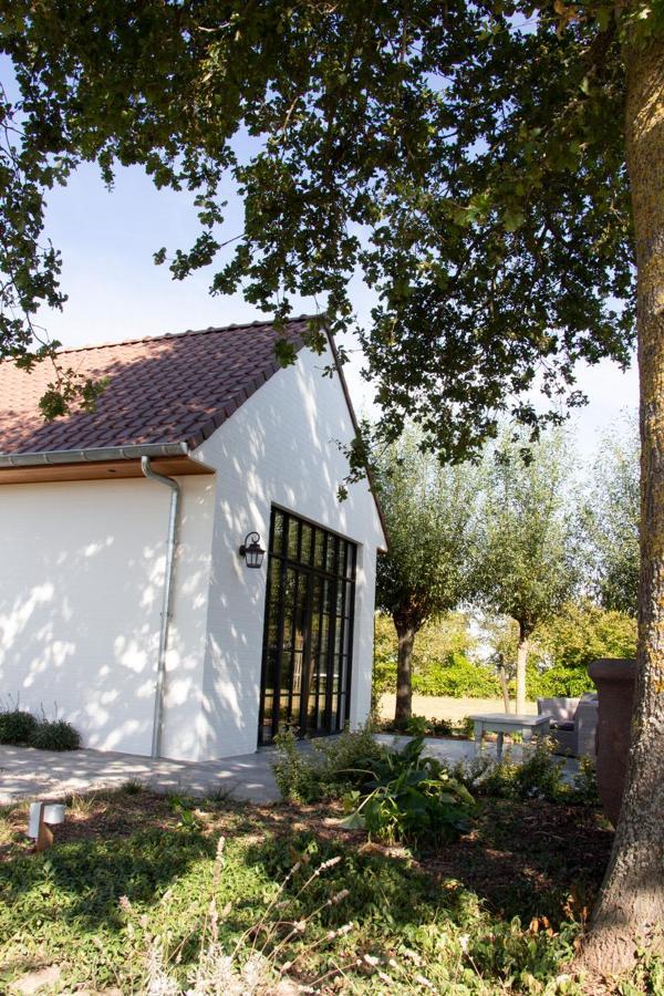 Madelette B&B Moorslede Exterior foto